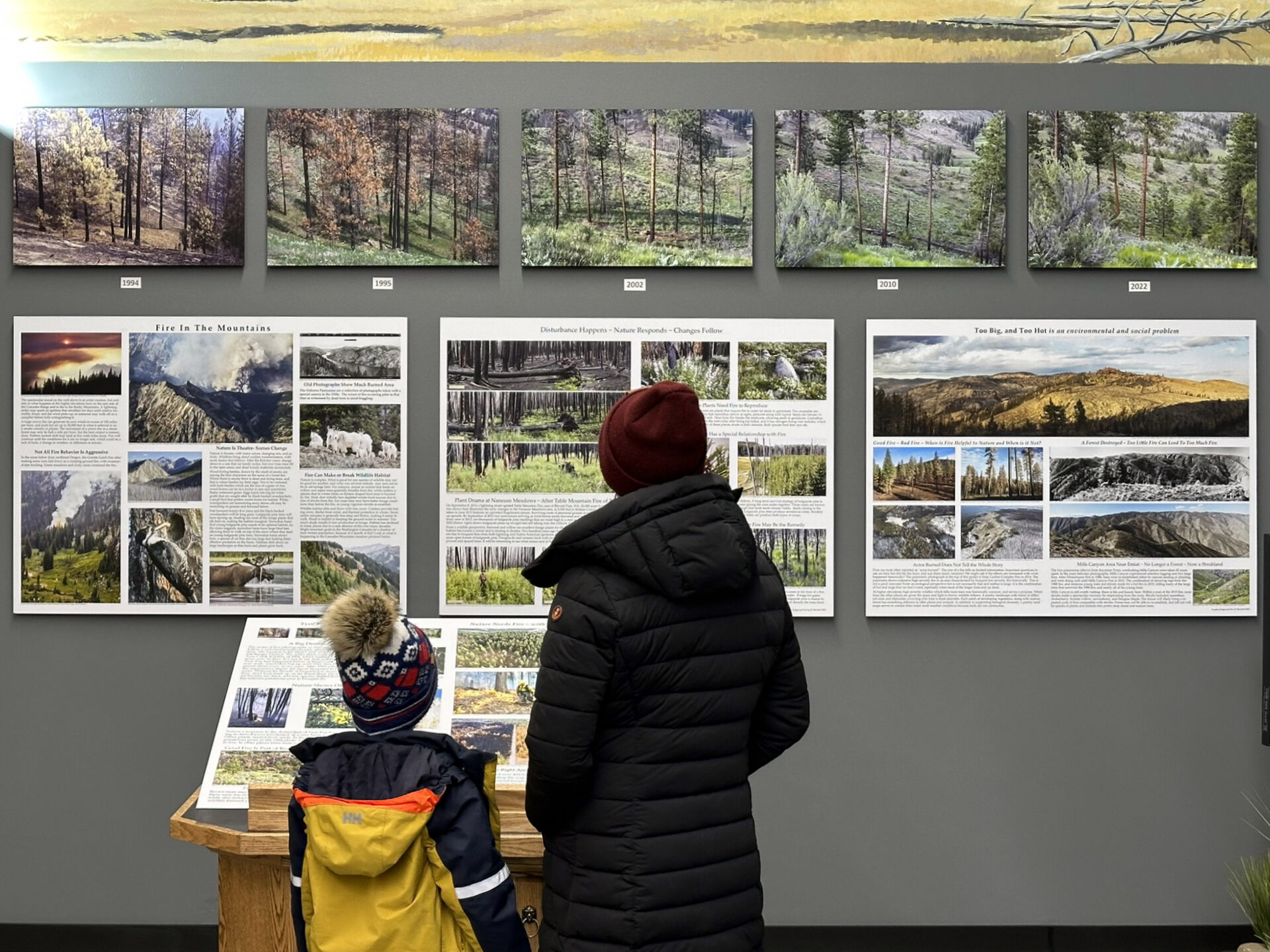 Natural History Museum — exhibit space